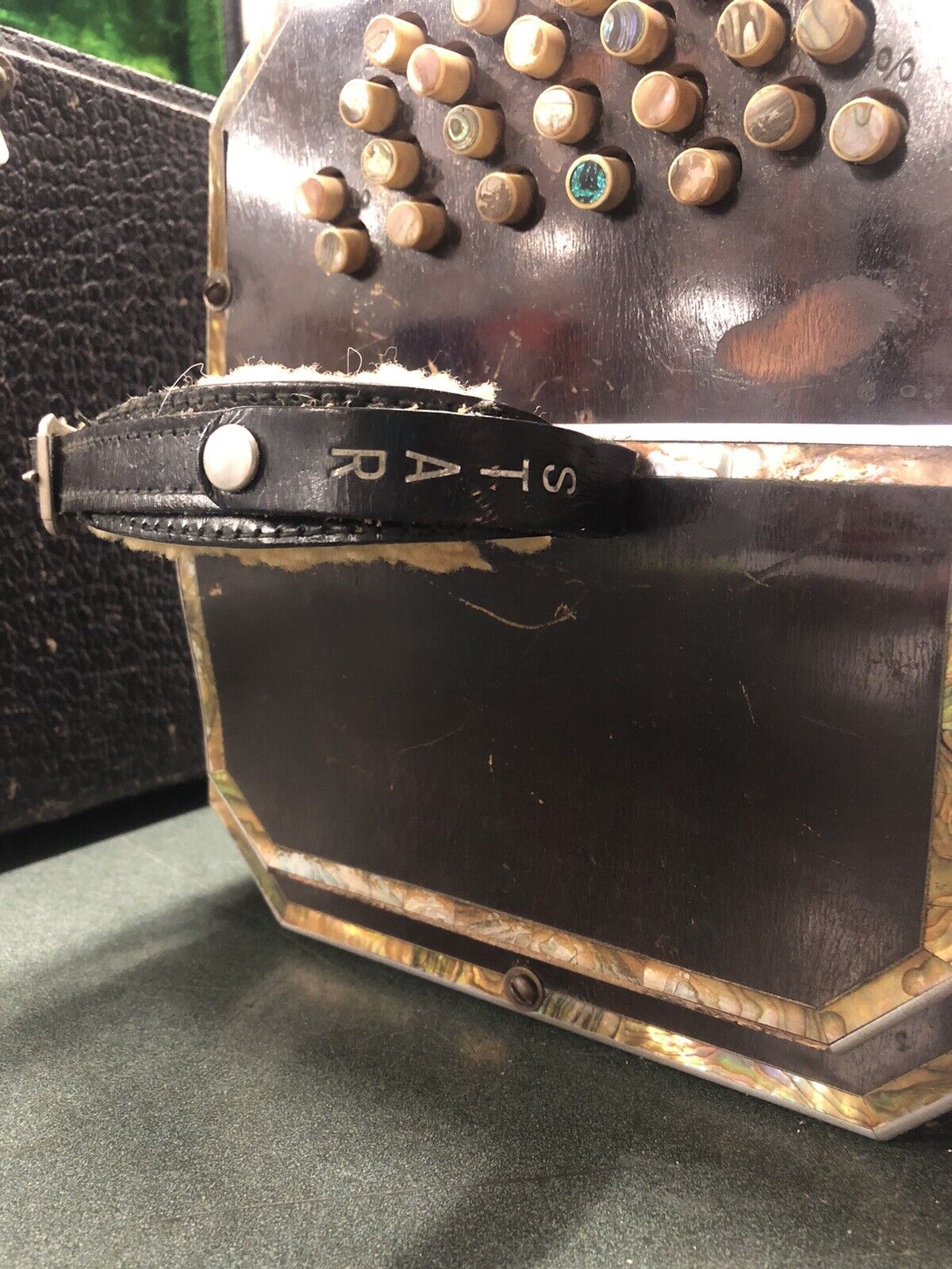 Georgi Vitak Pearl Queen Concertina Button Accordion