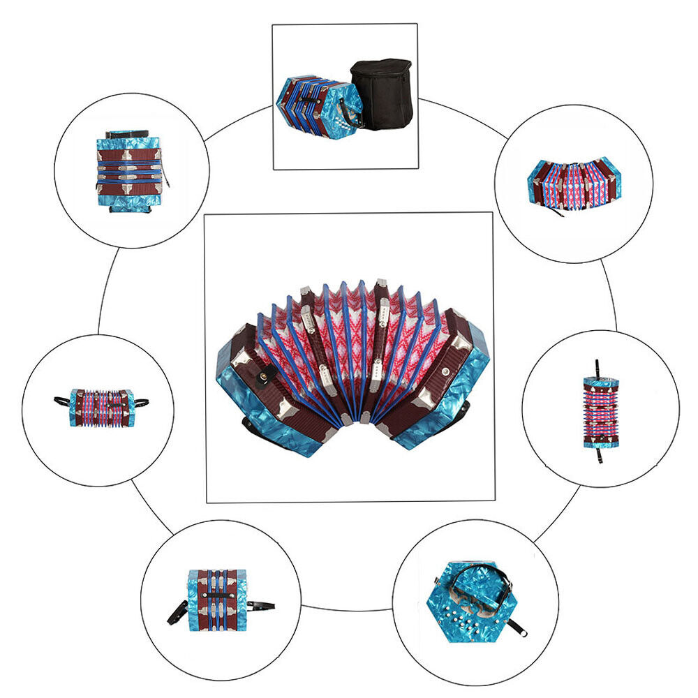 20-Button 40-Reed Anglo Concertina Accordion with Carry Bag