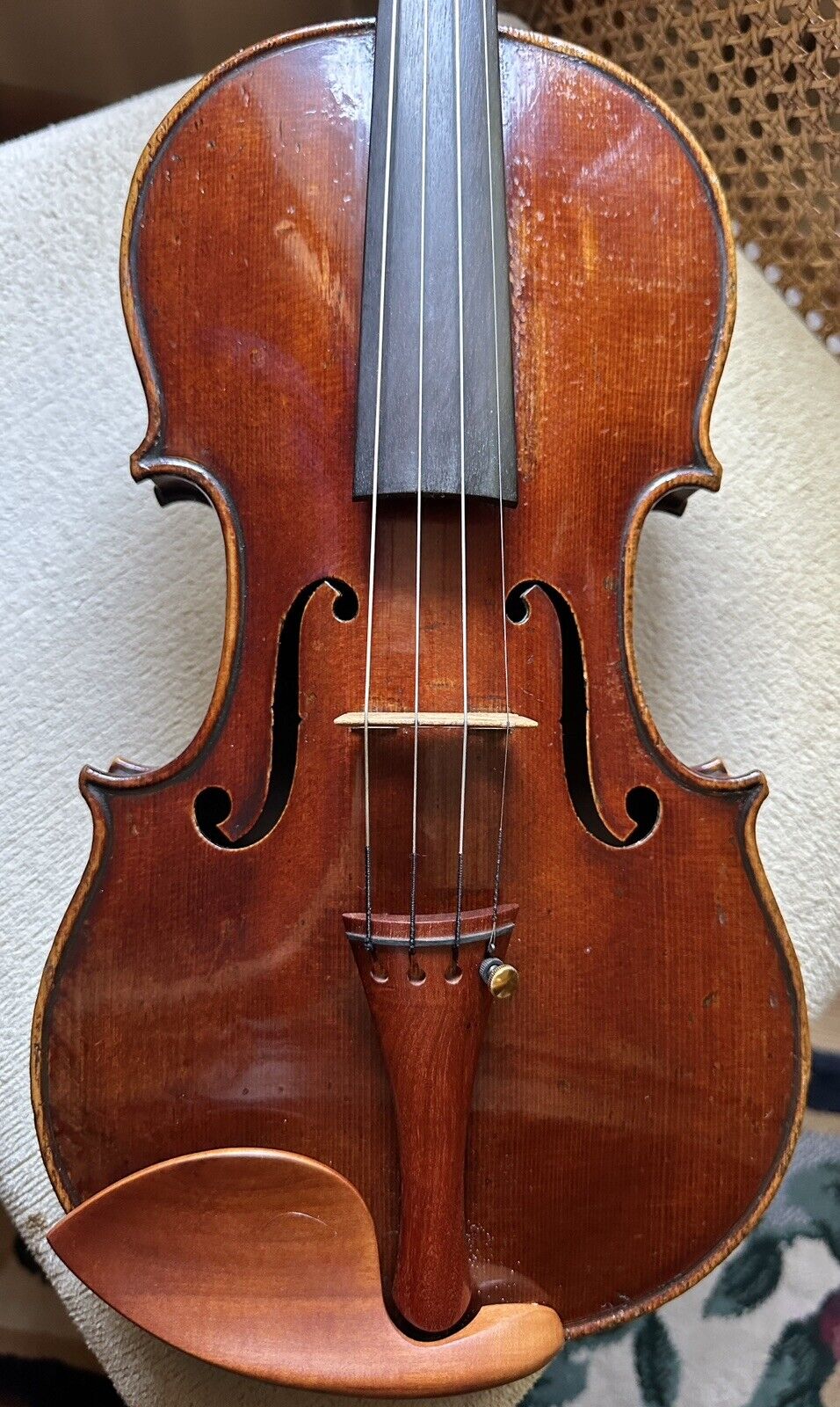 French Violin by HONORÉ DERAZEY VIP Collection