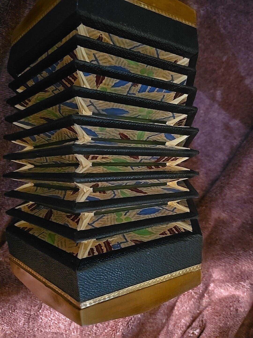 Vintage Toneking Concertina No.110 20 Button - Germany