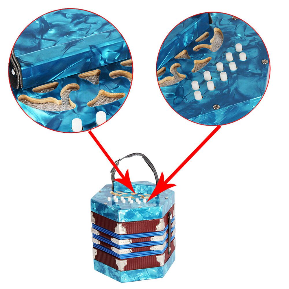 20-Button 40-Reed Anglo Concertina Accordion with Carry Bag