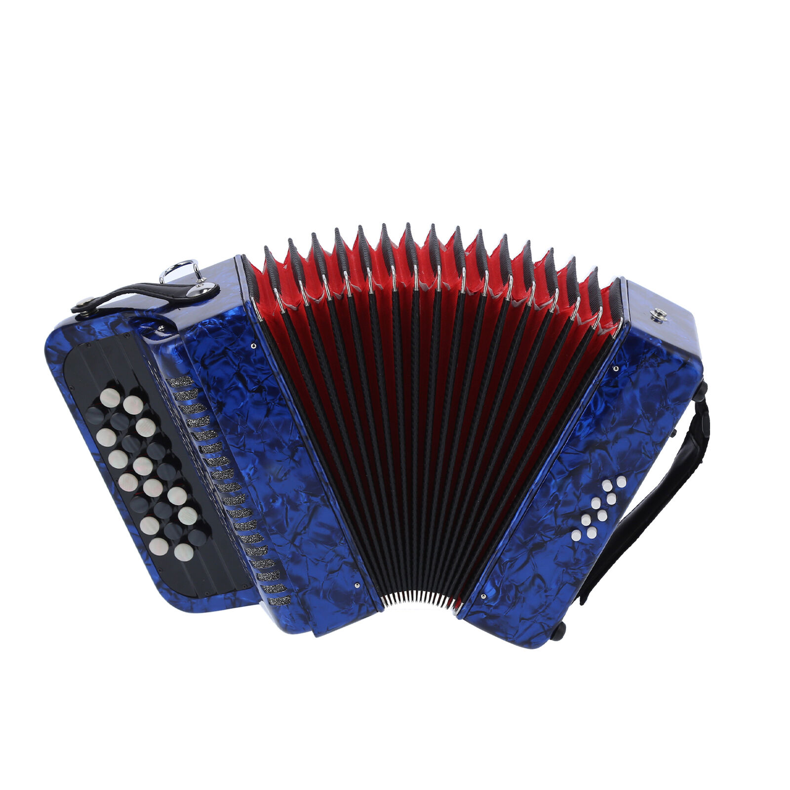 VIP 22 Key 8 Bass Accordion Reed Instrument