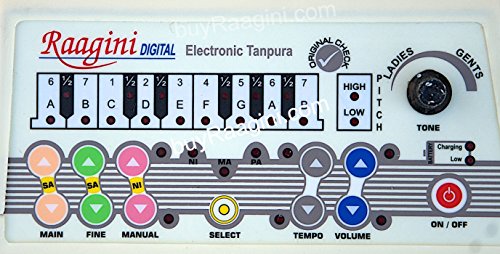 Electronic Tanpura Raagini - Instruction Manual, Bag, Power Cord