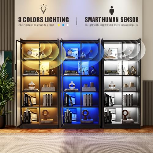 65" Tall Display Cabinet with Adjustable Shelves, LED Lights