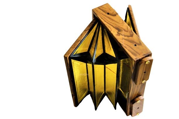 Shruti Box Teak Wood 13" Gig Bag Male Tone