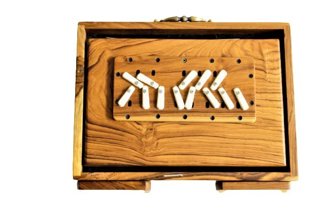 Shruti Box Teak Wood 13" Gig Bag Male Tone