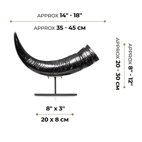 Skull Bliss: Authentic Buffalo Horn on Stand - Norse/Viking Decor