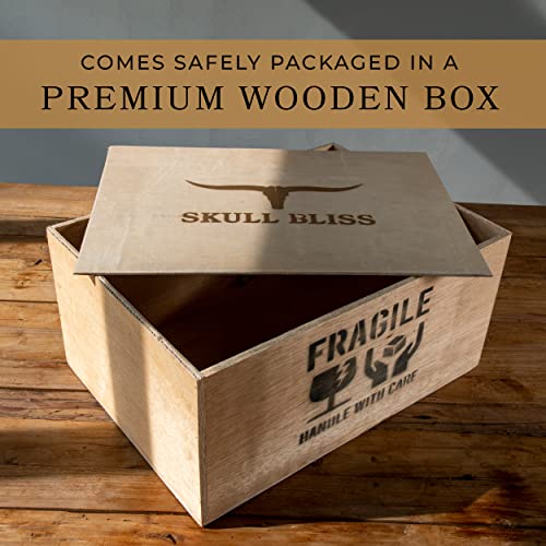 Skull Bliss: Authentic Buffalo Horn on Stand - Norse/Viking Decor