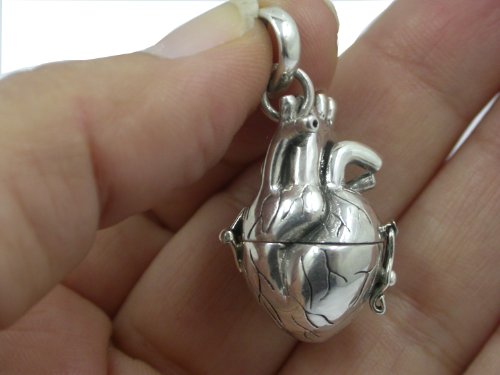 Anatomical Heart Necklace in Solid Sterling Silver 3D