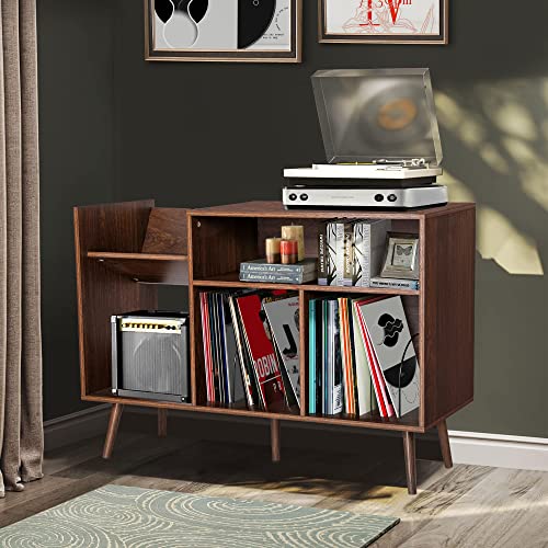 Mid-Century Modern Vinyl Record Storage Cabinet Stand
