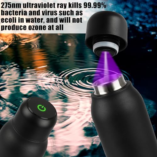 20oz Insulated Stainless Steel UV Purifying Water Bottle