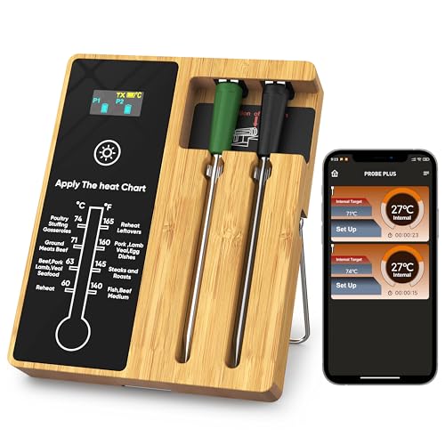 Smart Wireless Meat Thermometer with Dual Probes (Green)