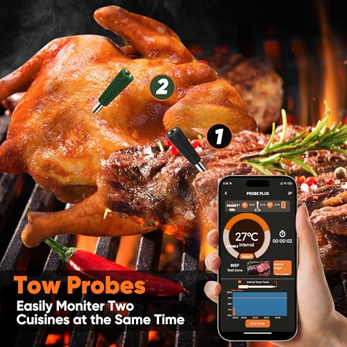 Smart Wireless Meat Thermometer with Dual Probes (Green)