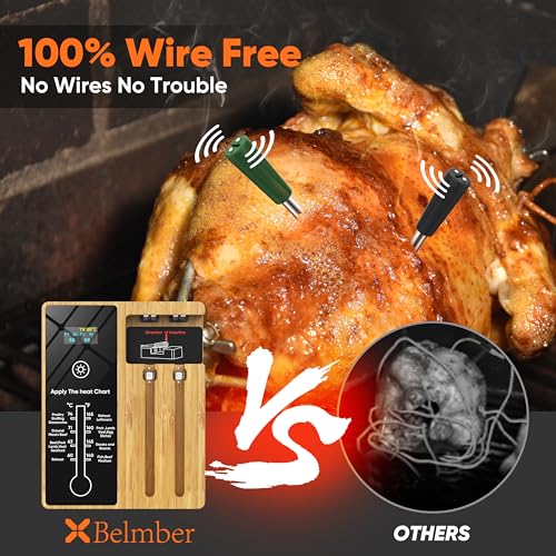 Smart Wireless Meat Thermometer with Dual Probes (Green)