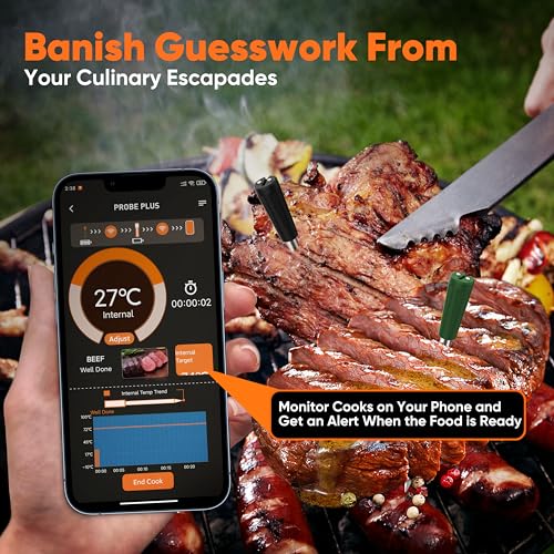 Smart Wireless Meat Thermometer with Dual Probes (Green)