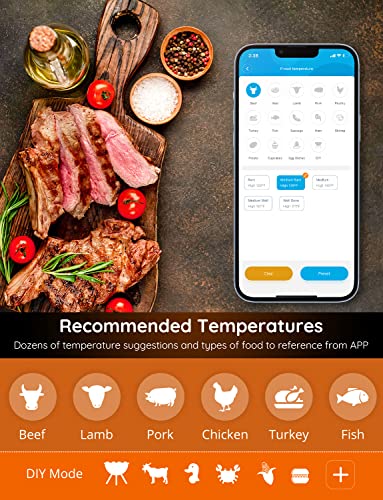 Govee WiFi Bluetooth Meat Thermometer with 4 Probes