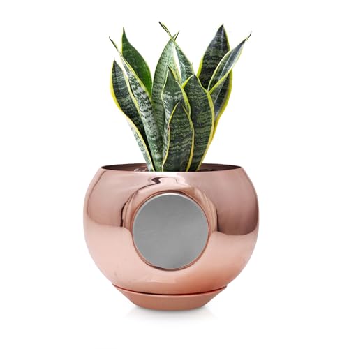 Rose Gold MagPot - Self-Adhesive Magnetic Plant Pot