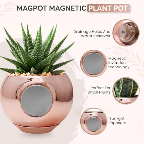 Rose Gold MagPot - Self-Adhesive Magnetic Plant Pot