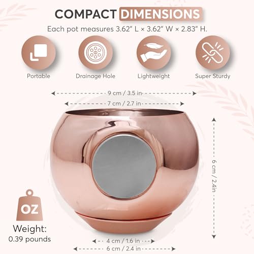 Rose Gold MagPot - Self-Adhesive Magnetic Plant Pot