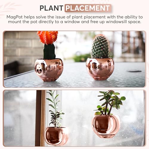 Rose Gold MagPot - Self-Adhesive Magnetic Plant Pot