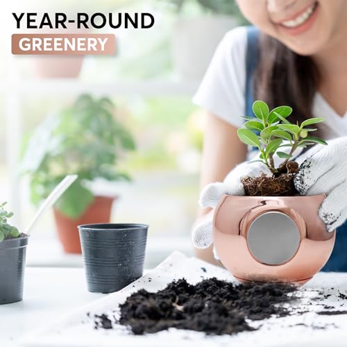 Rose Gold MagPot - Self-Adhesive Magnetic Plant Pot
