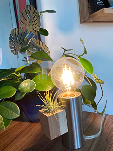 Decorative Magnetic Wooden Airplant Holders for Fridge or Surfaces