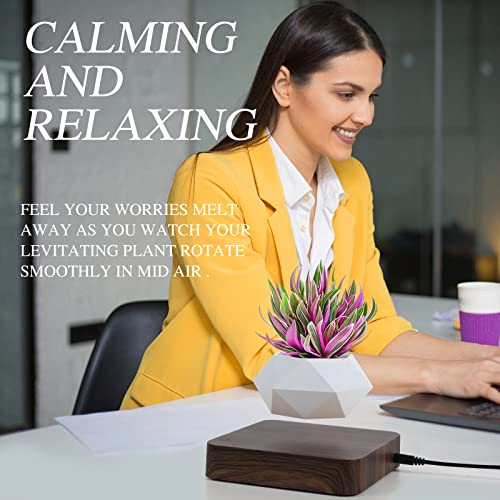 VIP Levitating Air Bonsai Pot Set (Dark Color)