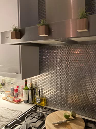 Decorative Magnetic Wooden Airplant Holders for Fridge or Surfaces