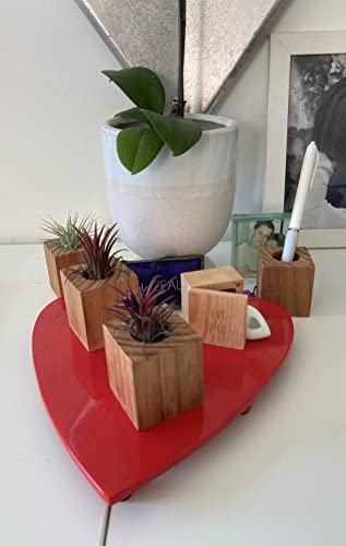 Decorative Magnetic Wooden Airplant Holders for Fridge or Surfaces
