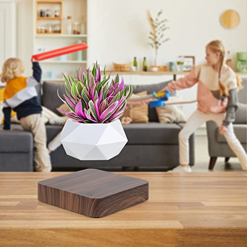 VIP Levitating Air Bonsai Pot Set (Dark Color)