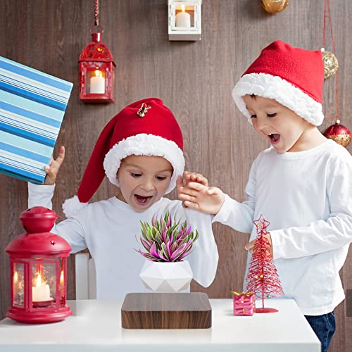 VIP Levitating Air Bonsai Pot Set (Dark Color)