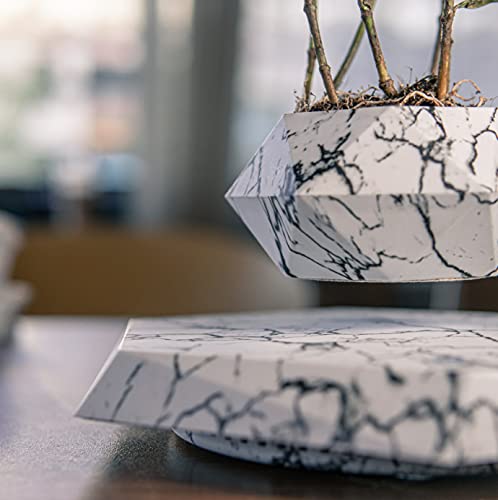 KIYOMING Levitating Plant Pot for Home Office Decor