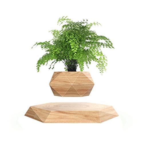 KIYOMING Levitating Hexagon Air Bonsai Plant Pot