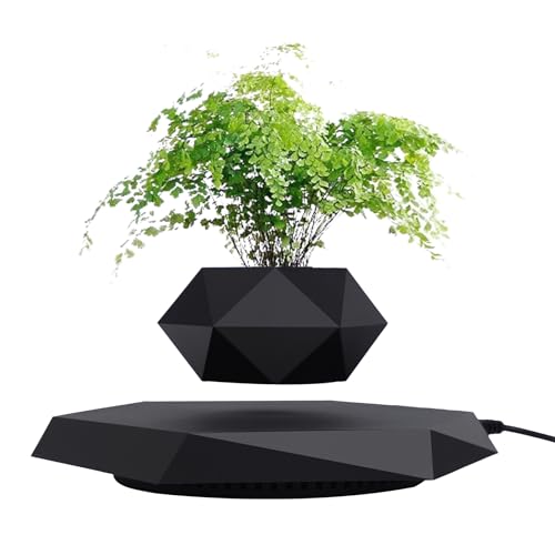 Levitating Plant Pot for Small Plants - Stunning Decor