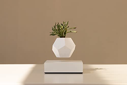 FLYTE Magnetic Levitating Plant Pot with Geodesic Planter