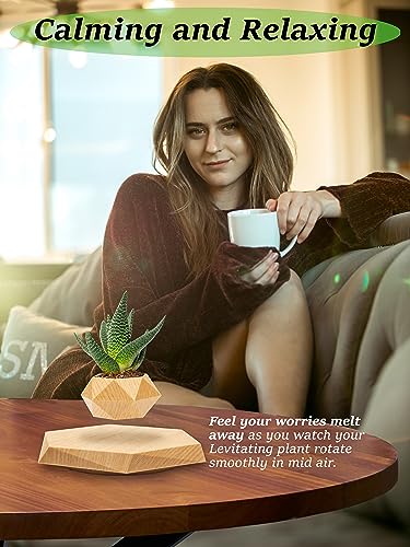 Floating Levitating Plant Pot for Small Plants - Home/Office Decor