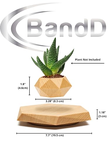 Floating Levitating Plant Pot for Small Plants - Home/Office Decor
