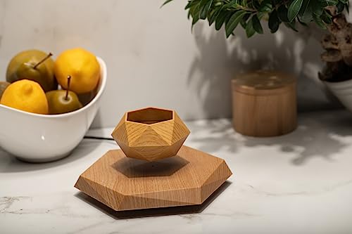 Floating Levitating Plant Pot for Small Plants - Home/Office Decor