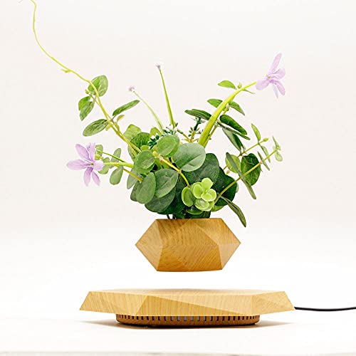 KIYOMING Levitating Hexagon Air Bonsai Plant Pot