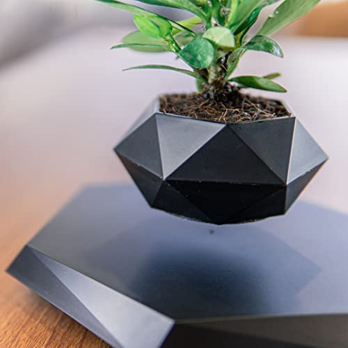 Floating Flower Pot, Plant Vase, Night Light, Touchirenegade