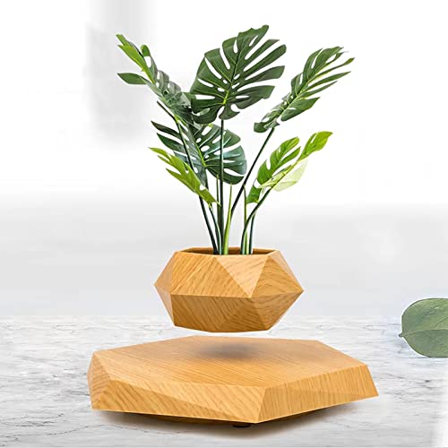 HCNT Levitating Plant Pot for Home and Office Décor