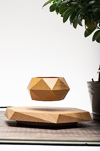 Floating Levitating Plant Pot for Small Plants - Home/Office Decor