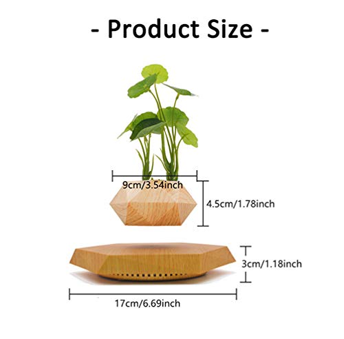 KIYOMING Levitating Hexagon Air Bonsai Plant Pot