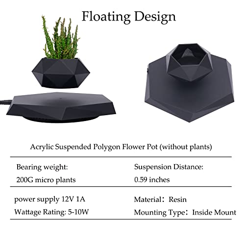 Bacacoo Magnetic Levitating Rotation Flower Pot for Air Plants
