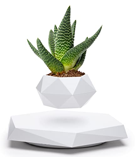 Levitating Plant Pot for Home and Office Decor