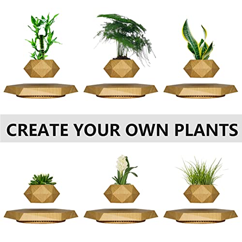 HCNT Levitating Plant Pot for Home and Office Décor