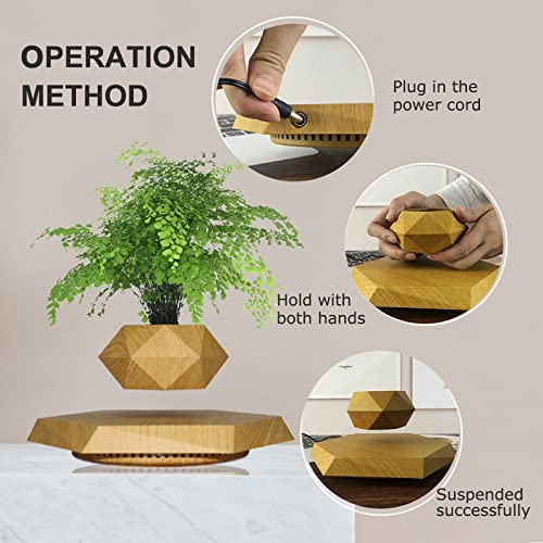 HCNT Levitating Plant Pot for Home and Office Décor