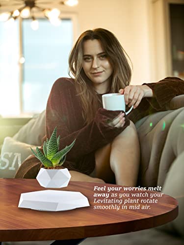 Levitating Plant Pot for Home and Office Decor