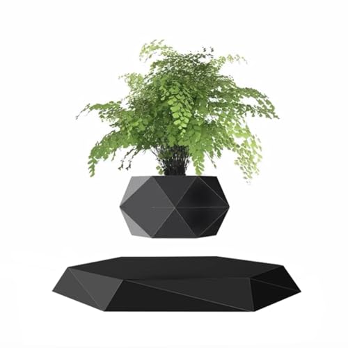 Black Hexagon Levitating Bonsai Plant for Home and Office