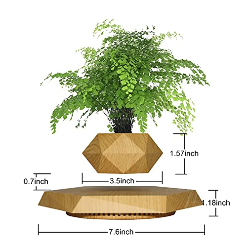 HCNT Levitating Plant Pot for Home and Office Décor